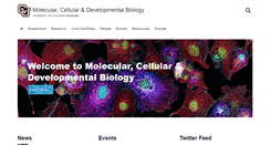 Desktop Screenshot of mcdb.colorado.edu